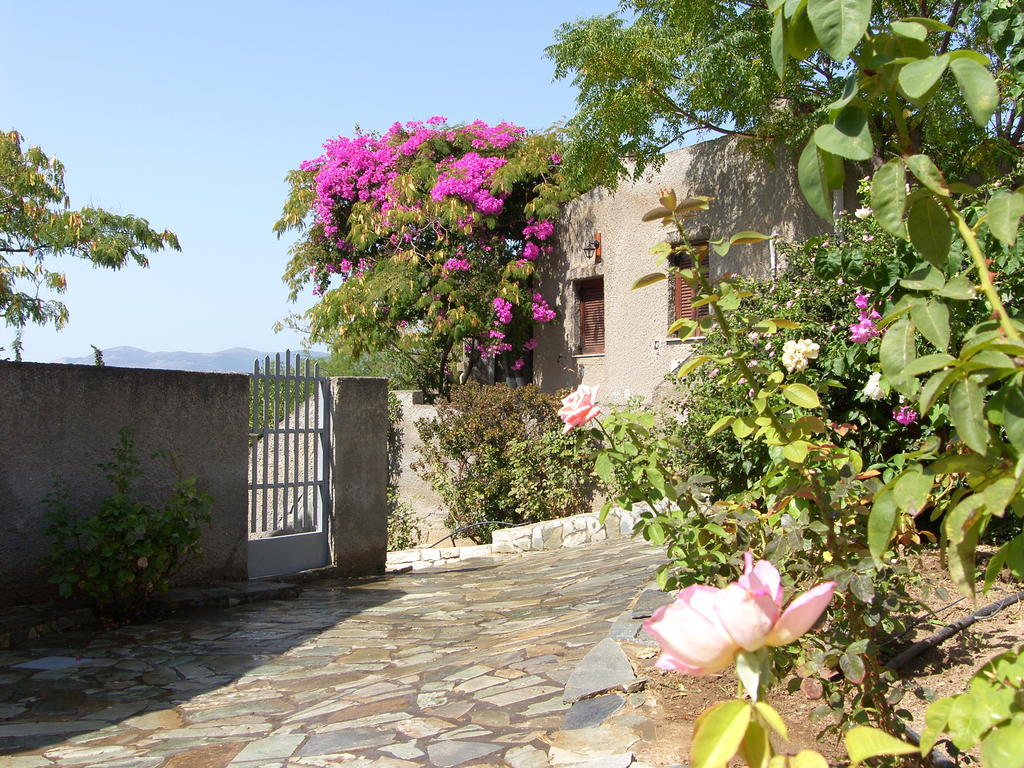 Cavo Grosso Bungalows Mavrovoúnion Pokoj fotografie