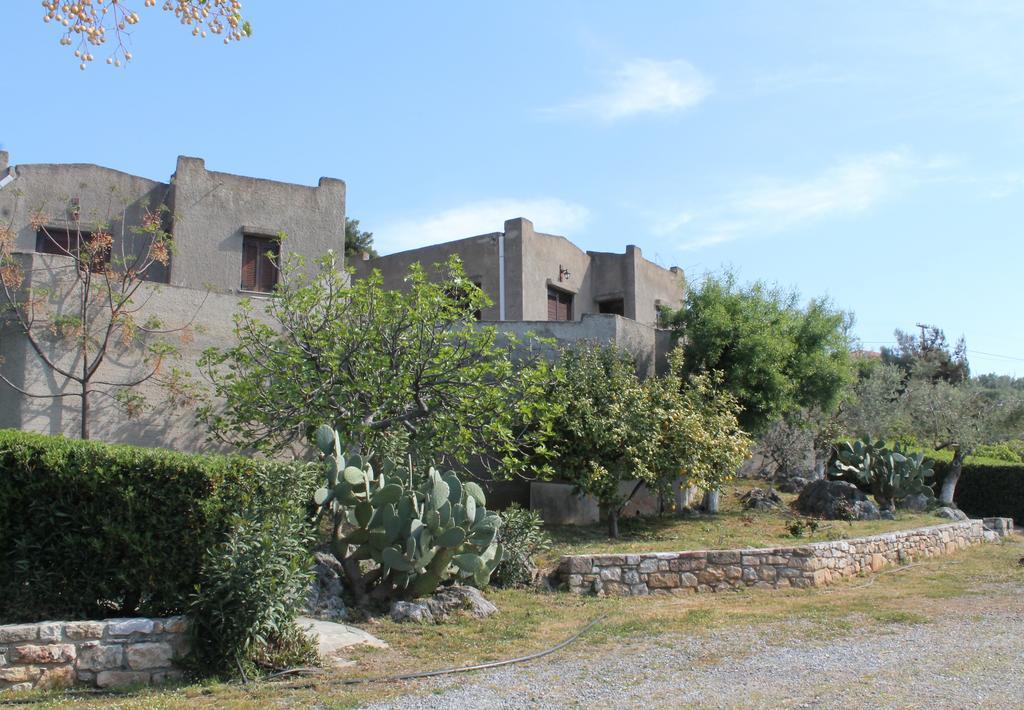 Cavo Grosso Bungalows Mavrovoúnion Exteriér fotografie